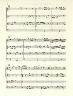 Symphonie Nr. 2 für Streicher von Anton Filtz im Alle Noten Shop kaufen (Partitur)