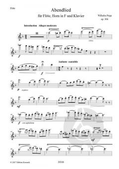 Abendlied op. 306 (Wilhelm Popp) 