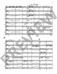 Wolf-Gang von Steve Martland 