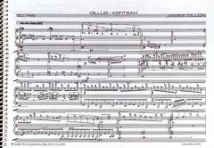 Dillug-Kefitsah von James Dillon für Klavier im Alle Noten Shop kaufen