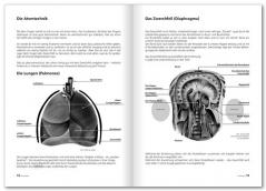 Voicecoaching von Karin Ploog 