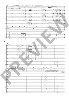 The Imaginary Museum von Julian Anderson 