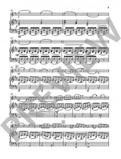 Concerto h-Moll op. 35 von Oskar Rieding 