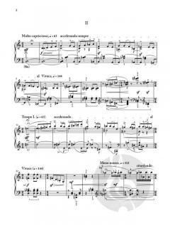 Improvisationen über ungarische Bauernlieder op. 20 von Béla Bartók 