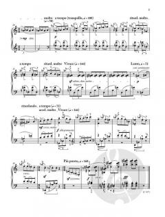 Improvisationen über ungarische Bauernlieder op. 20 von Béla Bartók 