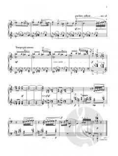 Improvisationen über ungarische Bauernlieder op. 20 von Béla Bartók 