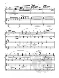 Klavierkonzert Nr. 5 F-dur op. 103 von Camille Saint-Saëns im Alle Noten Shop kaufen