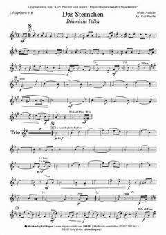 Das Sternchen (Kurt Pascher) 