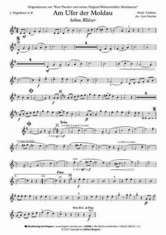 Am Ufer der Moldau (Kurt Pascher) 