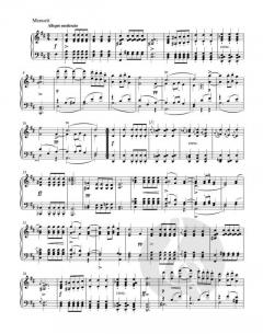 Sonate G-Dur op. 78 - D 894 von Walburga Litschauer für Klavier im Alle Noten Shop kaufen