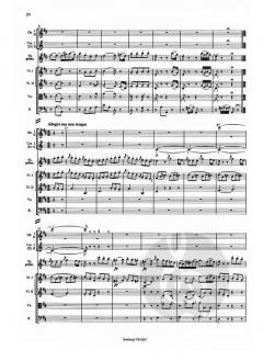 Konzert D-Dur KV 218 von Wolfgang Amadeus Mozart für Violine und Orchester im Alle Noten Shop kaufen