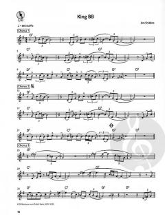 The Essence Of The Blues von Jim Snidero 