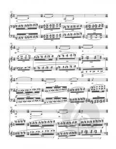 canti della tenebra von Beat Furrer 