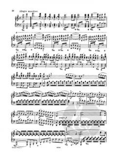 Sinfonie Nr. 5 c-Moll op. 67 von Ludwig van Beethoven 