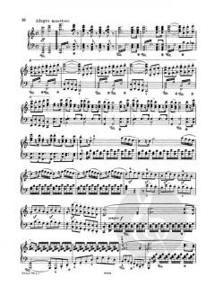 Sinfonie Nr. 5 c-Moll op. 67 von Ludwig van Beethoven 