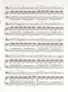 Der Schwan von Camille Saint-Saëns 