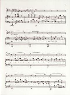 Sonate Vl Nr. 1 op. 13 von Gabriel Fauré 