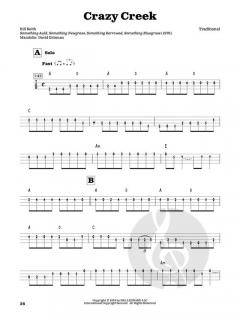 Masters of the Mandolin von Fred Sokolow im Alle Noten Shop kaufen