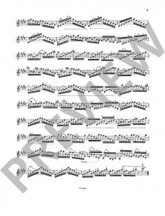 Les Maitres du Violon 7 von Mathieu Crickboom 