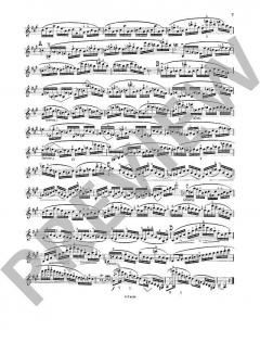 Les Maitres du Violon 7 von Mathieu Crickboom 