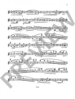 Les Maitres du Violon 8 von Mathieu Crickboom 