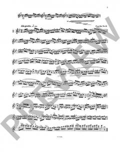 Les Maitres du Violon 8 von Mathieu Crickboom 