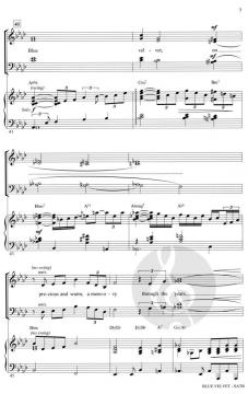 Blue Velvet (Bernie Wayne) 