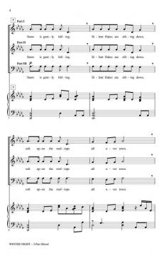 Winter Night von Audrey Snyder 