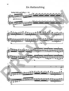 2 Elefanten, die sich gut kannten von Elisabeth Naske 