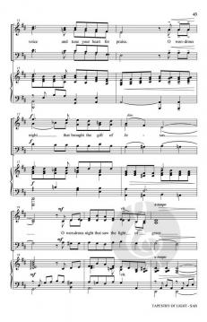 Tapestry Of Light (Joseph M. Martin) 