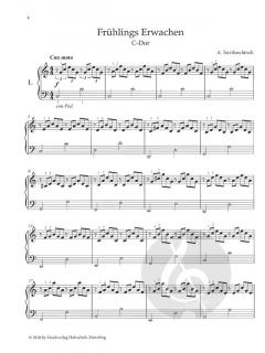 Mit den Sternen durch alle Tonarten 