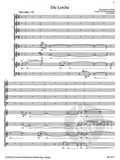 Die Lerche (Harald Banter) 
