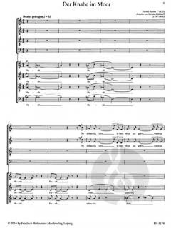 Der Knabe im Moor (Harald Banter) 