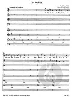 Der Weiher (Harald Banter) 