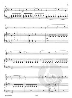 Konzert Nr. 1 f-Moll op. 73 von Carl Maria von Weber für Klarinette und Klavier im Alle Noten Shop kaufen