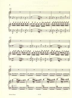 Konzert C-Dur KV 467 von Wolfgang Amadeus Mozart 