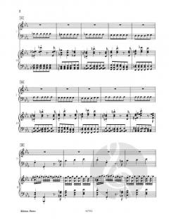 Konzert c-Moll KV 491 von Wolfgang Amadeus Mozart 