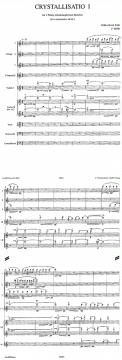 Crystallisatio 1 (Erkki-Sven Tüür) 