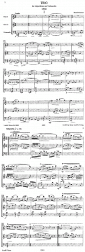 Trio für 2 Querflöten und Violoncello (Harald Genzmer) 