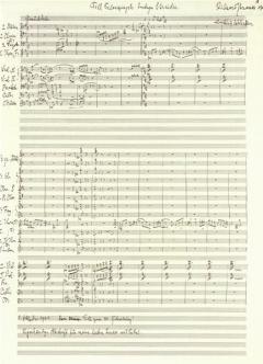 Till Eulenspiegels lustige Streiche AV op. 28 / TrV 171 von Richard Strauss 