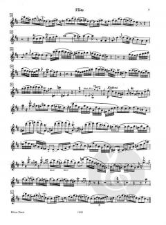 Konzert G-Dur KV313 (285c) von Wolfgang Amadeus Mozart für Flöte und Orchester im Alle Noten Shop kaufen