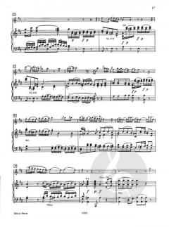 Konzert G-Dur KV313 (285c) von Wolfgang Amadeus Mozart für Flöte und Orchester im Alle Noten Shop kaufen