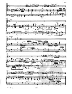 Konzert G-Dur KV313 (285c) von Wolfgang Amadeus Mozart für Flöte und Orchester im Alle Noten Shop kaufen