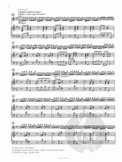 Die vier Jahreszeiten: Der Sommer von Antonio Vivaldi 