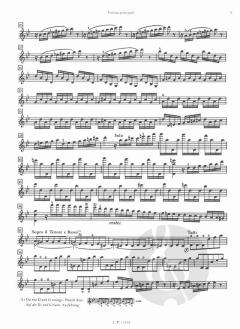 Die vier Jahreszeiten: Der Sommer von Antonio Vivaldi 