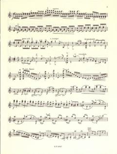 Kadenzen zu Violinkonzerten von Joseph Joachim im Alle Noten Shop kaufen