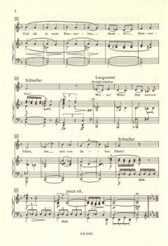 Lieder eines fahrenden Gesellen von Gustav Mahler 