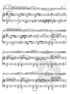 Konzert Nr. 1 a-moll op. 33 von Camille Saint-Saëns 