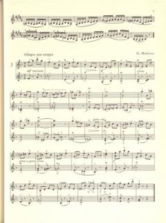 Peters-Violinschulwerk: Etüden Band 2 im Alle Noten Shop kaufen