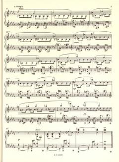 Klavierwerke Band 1 von Gabriel Fauré im Alle Noten Shop kaufen